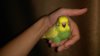 IMG_20160801_210300.jpg