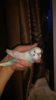 IMG_20160801_210053.jpg