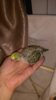 IMG_20160801_205948.jpg