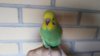 IMG_20160803_193858.jpg