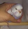 _20160803_192629.jpg