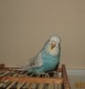 IMG_0983.JPG