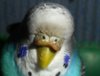 SAM_2914.JPG