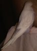 IMG-20160809-WA0051.jpg