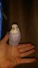 IMG-20160809-WA0055.jpg