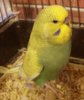 IMG-20160809-WA0063.jpg