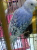 20160810-0008.jpeg