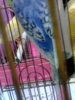 20160810-0010.jpeg
