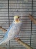 20160808_162459.jpg