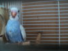 DSC03084.JPG