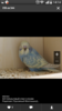 Screenshot_2016-08-23-14-14-49.png