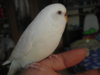 SAM_0886.JPG