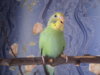 DSC03584.JPG