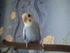 DSC03586.JPG