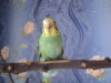 DSC03593.JPG