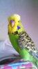IMG_20160827_151956.jpg