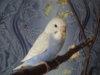 DSC03766.JPG