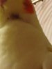 image.jpeg