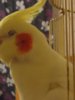 image.jpeg