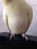 image.jpeg