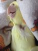 image.jpeg