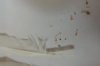 DSCN2954.JPG
