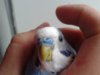 20160904_182420.jpg