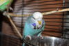 IMG_6346.JPG
