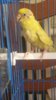 20160904_162319.jpg