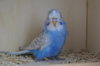 DSC07359.JPG