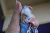 DSC07361.JPG