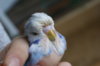 DSC07362.JPG