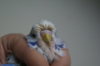 DSC07364.JPG