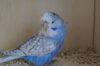 DSC07367.JPG