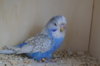DSC07378.JPG