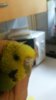 20160905_111735.jpg