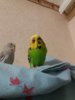 20160903_204215.jpg