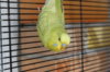 IMG_6500.JPG