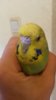 20160905_154332.jpg