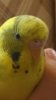 20160905_162359.jpg