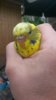 20160905_174917.jpg