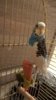 WP_20160906_01_18_59_Pro.jpg