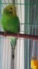 tmp_26135-IMG_20160906_11360397803808.jpg
