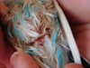 DSCN2151.JPG