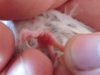 DSCN2153.JPG