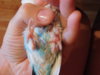 DSCN2159.JPG