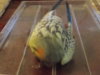 DSCN6029.JPG
