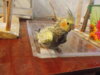 DSCN6034.JPG