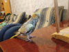 DSCN6035.JPG