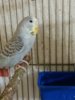 20160905_183020.jpg